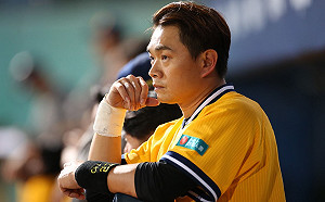 中華職棒／猿象大戰最終回　總冠軍賽12日開打