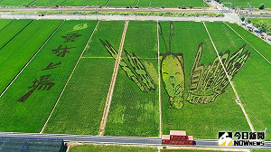 白爛貓彩繪田國慶連假登場　順道來逛越光米蟲好懂吃市集