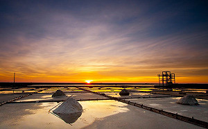 新博物館開幕、彩繪稻田初亮相  7條路線國慶假期大玩台南