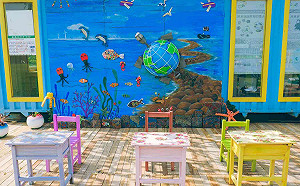 真的很好拍！桃園農業博覽會必拍5大亮點攻略