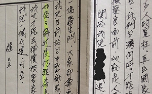 誰是壞人？陳師孟：社會上另一批人造成的傷害才難以估計