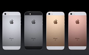 傳低價版iPhone供應鏈開始備貨 計畫採最新A13處理器