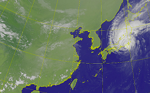 與襲日最強颱無關！專家揭中颱「哈吉貝」釀災主因