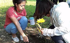 新北樹葬毛寶貝 溫馨、環保兼具生命教育