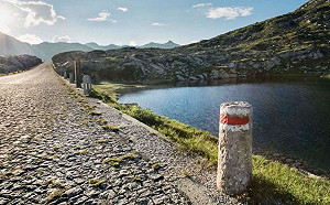 揭開瑞士藝術的神秘面紗（下） - 藝術培育與藝術家