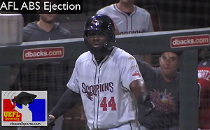 (影)機器人眼中的好壞球？球員不滿判好球被驅逐惹議