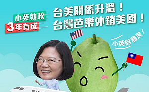 亞洲第一！台灣芭樂外銷美國  小英暗虧韓「這不是芭樂票」