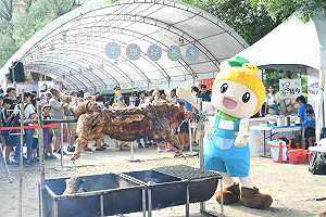 高雄好畜多 超萌小畜擄獲大人小孩的心