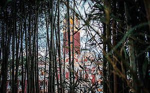 美智庫揭：台商被中國要求捐款給特定政黨  意圖影響選舉結果