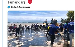 巴西漏油綿延2千公里找嘸禍首  志工清出30噸油污