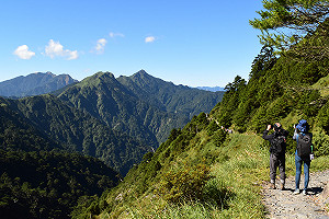 台灣山林大解禁！行政院拍板具體內容出爐