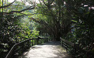 北市6景點獲友善環境認證！穆斯林旅遊更方便