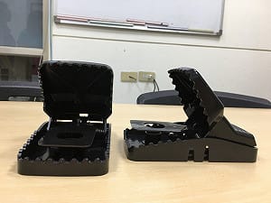 塑膠製捕鼠夾遭罰1萬5！動保處：有鋸齒、強力彈簧就是獸鋏