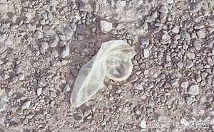 好佳在！黑心保險套台灣買不到  業者：越南乳膠品質差