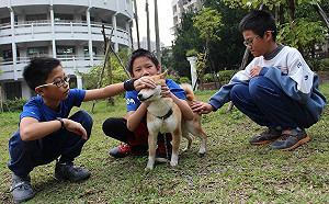 犬貓成動保教育「活教材」新北動保處鼓勵校園認養浪浪