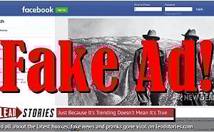 廣告不實稱共和黨挺民主黨綠色新政 臉書下架