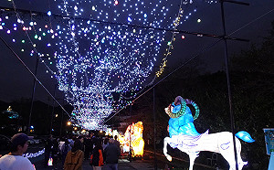 富士山下「光之栖」燈會 台灣「花燈王」打造銀河主燈