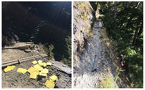 求平安！遊客登玉山沿路撒金紙　玉管處花3小時才清完