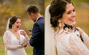 說好不養貓！新郎卻在婚禮送上大驚喜　貓奴新娘秒飆淚