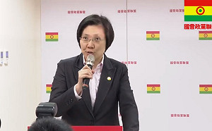 國會政黨聯盟推徐欣瑩任不分區首位 喊話「我們就是賺錢黨」