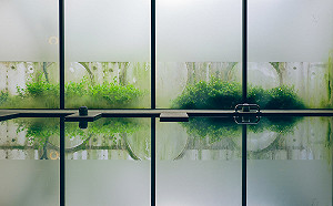 秋冬限定賞芒賞鳥泡溫泉！3大玩法暢遊北台灣海岸線