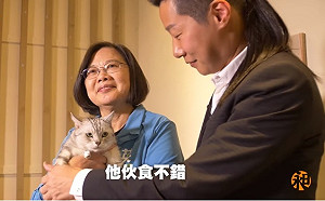 （影）英昶開飯店貓超搶戲  網友全歪樓：想把元寶打包回家！