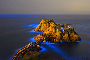 藍眼淚四季都看的到？！馬祖生態館4D模擬螢光奇景身歷其境