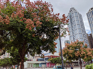 北台灣天氣不穩偶有雨 中南部白天維持30度