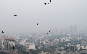 刺痛眼睛呼吸困難 新德里空汙3年來最嚴重