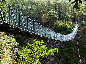 奧萬大吊橋意外！林務局通令各管理處立即全面安檢