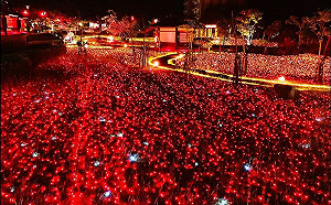 （影）四重溪溫泉公園大變身！楓紅燈海幻境11/8起點亮3個月