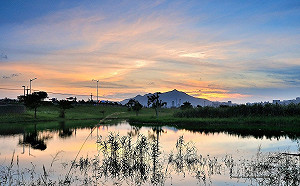 賞日落天光雲影！台北社子島溼地一日小旅行免費報名中