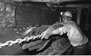 專家：20年內德國人口將有1/3具移民背景