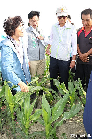 陳吉仲視察 郭國文：別讓秋行軍蟲變下一個福壽螺