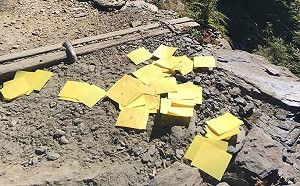 扯！玉山遭山友亂撒冥紙 玉管處：可依法開罰