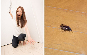 女租屋2年曬「防蟑5招」　釣出更強秘訣：沒再看過活體蟲