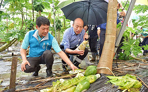 「蔡英文只守不攻，不會贏！」  胡幼偉：她沒有其他招數可用了