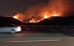 台中龍井山坡野火燎原　警消徹夜奮戰12小時收伏