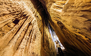墾丁國家森林遊樂區施工 即日起至明年9月入園半票優惠