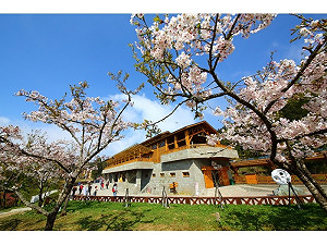 (影)專人帶領深入山林秘境  24條路線探索台灣5大山脈