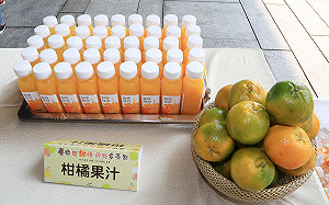 台中椪柑季節到！農業局：預計年底外銷1000公噸