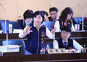 接受徵召選立委 楊瓊瓔不辭官明繼續上議會備詢