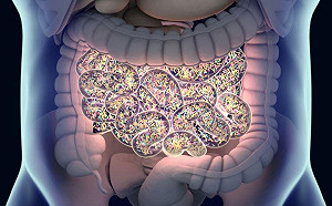 優酪乳的菌  真的可以喝進腸道嗎？