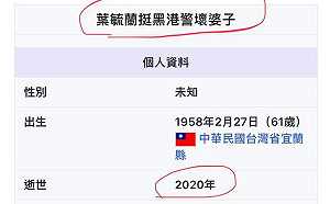 挺港警列名藍不分區第一  葉毓蘭維基個資遭網友咀咒