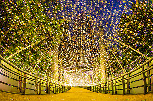 期間限定！新北耶誕城超人氣卡通玩偶與大小朋友歡度週末