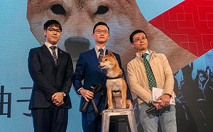 政黨法上路2年已有60政黨解散　內政部呼籲設立政黨要審慎