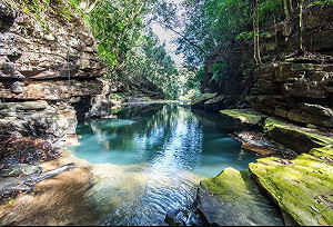 走水上森林步道訪夢幻藍水潭！小秘境藏身南投魚池鄉社區