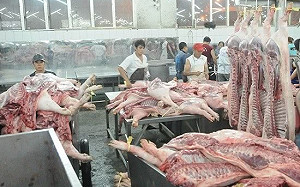 非洲豬瘟導致豬肉供應短缺 越南擴大進口