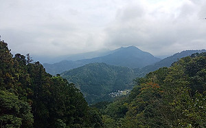 台灣首例！北部70歲翁爬山遭蜱蟲叮咬確診SFTS