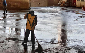 霸凌前總座逼他掃廁所? 台北畜產總經理這麼說........